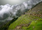 Machu Picchu04